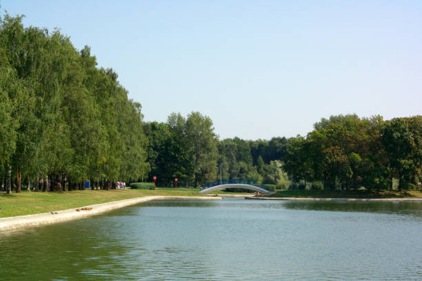 istock summer in city park 1136636150
