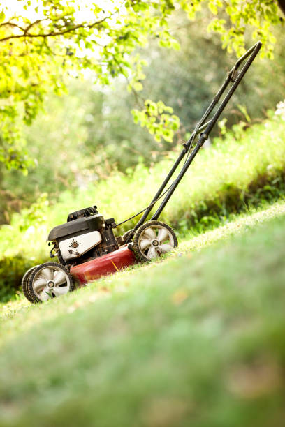 istock Red old lawn mower on meadow of backyard 1136636153