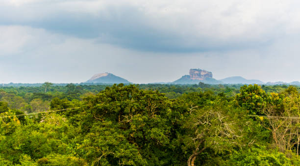 istock Lion Rock, Sirigiya, Sri Lanka 1136637132