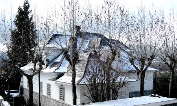 Snowy roofs stock photo