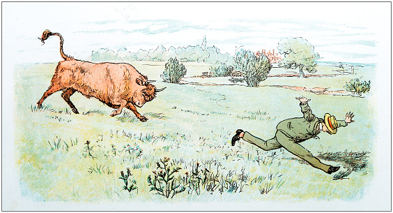 Antique color illustration by Randolph Caldecott: Man attacked by bull