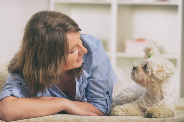istock Dog and owner on the sofa in home 1136639477