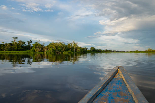 istock Boat ride in the rainforest of Peru 1136639521