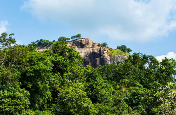 istock Lion Rock, Sirigiya, Sri Lanka 1136640511
