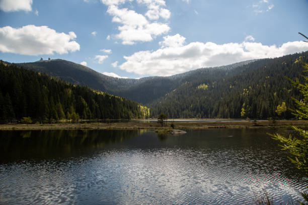 istock Landscape at the small Arbersee in Bavaria 1136643158