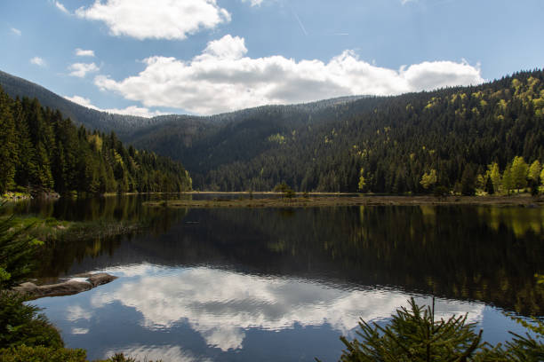 istock Landscape at the small Arbersee in Bavaria 1136643854