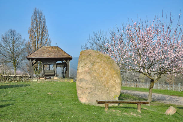 rest area at german Wine Road in Edenkoben near Neustadt an der Weinstrasse,Rhineland-Palatinate,Germany