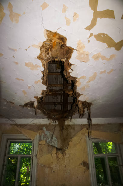 istock Pripyat, exclusion zone of the Chernobyl disaster. 1136646358