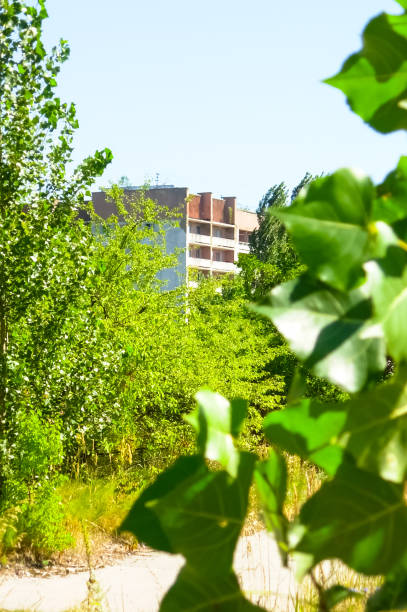 istock Pripyat, exclusion zone of the Chernobyl disaster. 1136646382