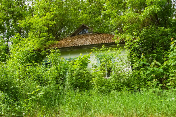 istock Pripyat, exclusion zone of the Chernobyl disaster. 1136646472
