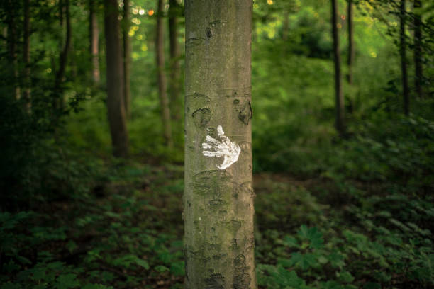 Isolated photo of a white handprint on a tree in the forest stock photo