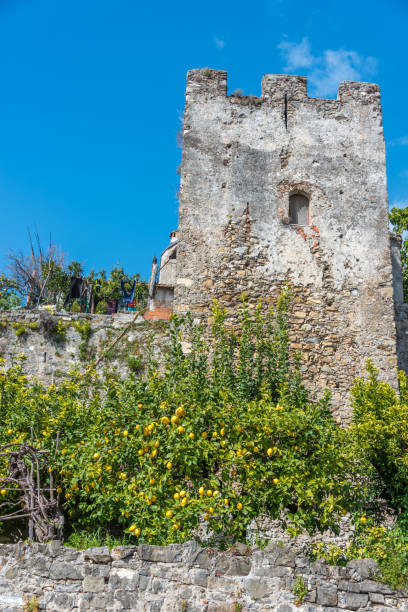 istock Orange Trees and an Ancient Byzantine Tower in Southern Italy 1136649401