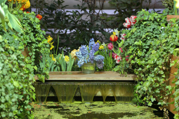 istock Landscape design in the garden 1136650807