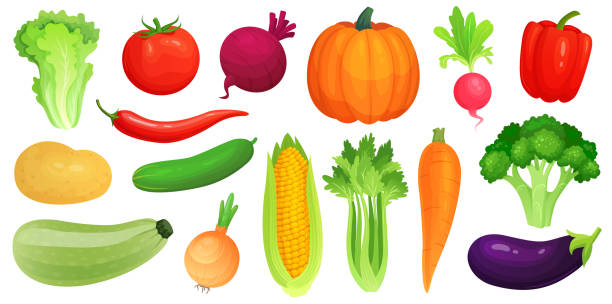 만화 야채입니다. 신선한 채식 채소, 생 야채 그린 애호박과 셀러리. 양상추, 토마토와 당근 벡터 일러스트 레이 션 세트 - eggplant vegetable vegetable garden plant stock illustrations