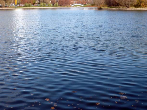 istock pond in city park 1136651673