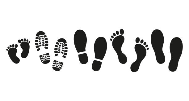 ilustrações de stock, clip art, desenhos animados e ícones de collection of traces of human shoes, bare feet, children's footprints and sole on a white background. - sole of foot