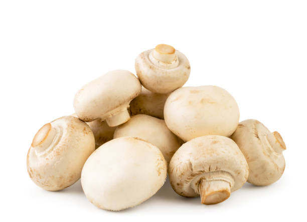 istock Heap champignons on a white background. isolated 1136653496