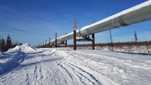 Trans-Alaska Pipeline stock photo