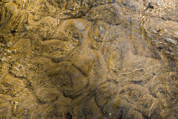 istock Striped sandy bottom of the river 1136653873