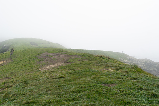 Small distant figure of unrecognizable person on hilltop in fog before sunrise at Katiki Point Moeraki New Zealand.