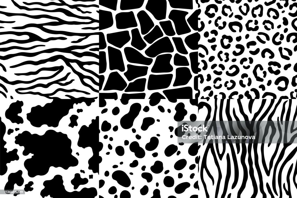 Animal Skin Pattern Wildlife Zebra Texture Tiger Skin Stripes And Leopard  Spots Animals Textures Seamless Patterns Vector Set Stock Illustration -  Download Image Now - iStock
