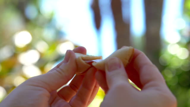 Opening chinese fortune cookie with a card inside in slow motion 180fps