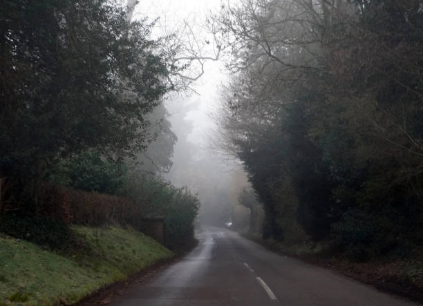 istock Misty countryside road in the winter 1136659037
