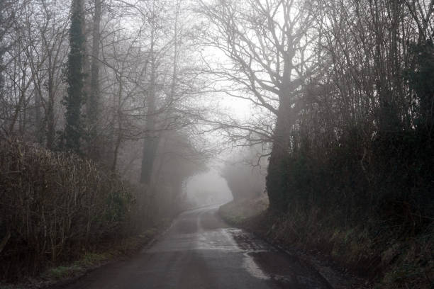 istock Misty countryside road in the winter 1136659140