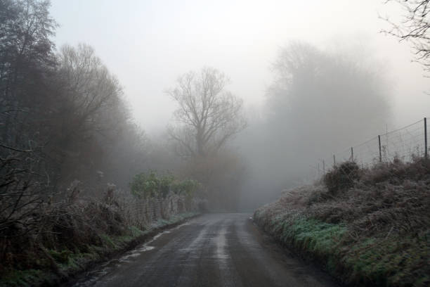 istock Misty countryside road in the winter 1136659164