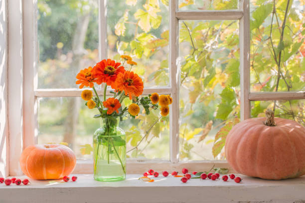 istock orange flowers with pumpkins on white window 1136659567