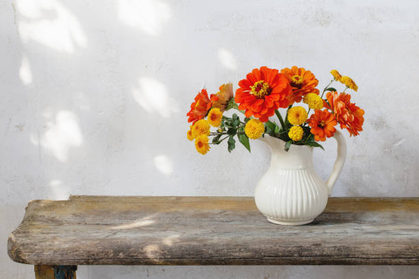 autumn flowers in pitcher on wooden bench - wall flower sunny temperate flower imagens e fotografias de stock