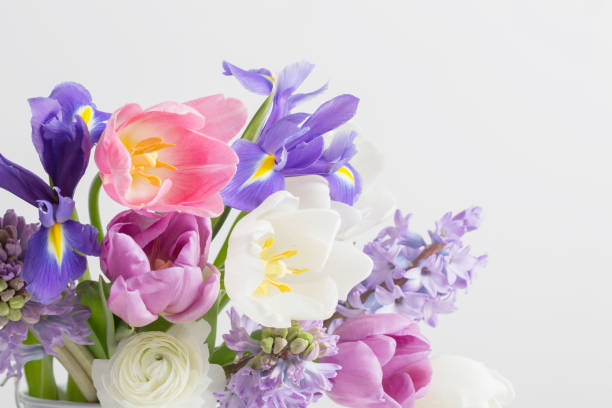 istock beautiful sprinf flowers on white background 1136659592