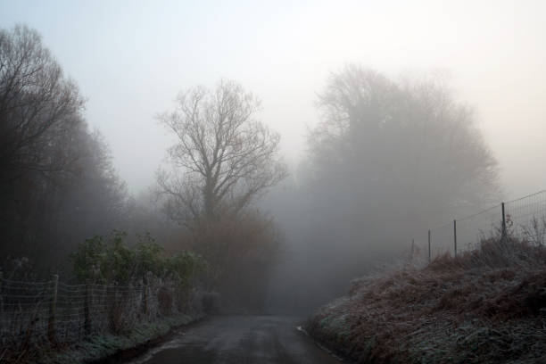 istock Misty countryside road in the winter 1136659714
