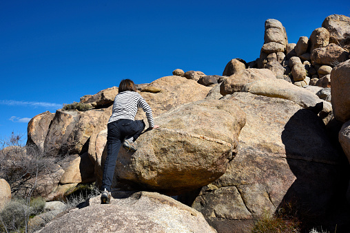 Joshua Tree National Park, Southern California, USA