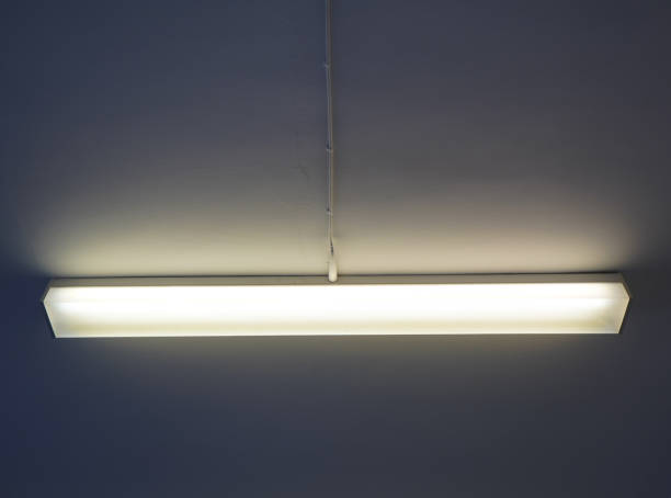 istock Florescent tube lights on a ceiling 1136670058