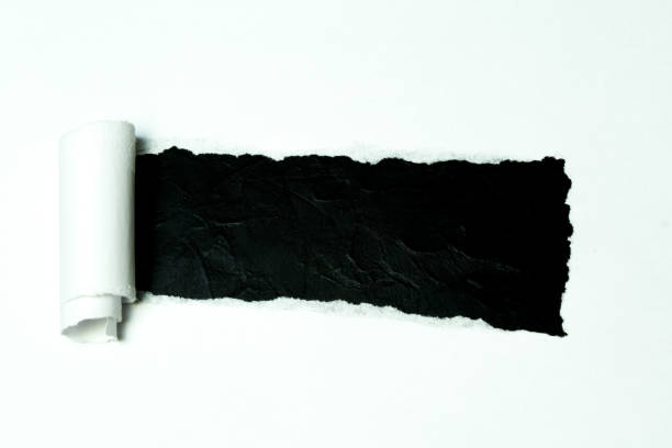 istock a piece of paper torn from the sheet. 1136670148