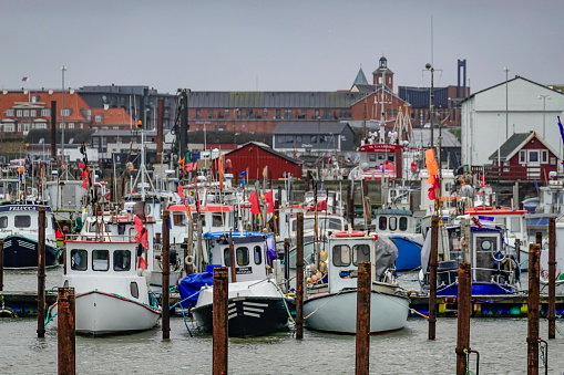 Shrimp trawlers in the harbor of Oudeschild on Texel island.