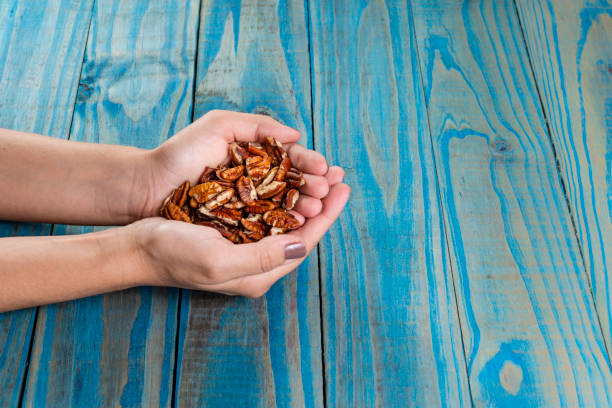 Pecan nuts. Female hand holding pecan nuts supported on blue pinus background.