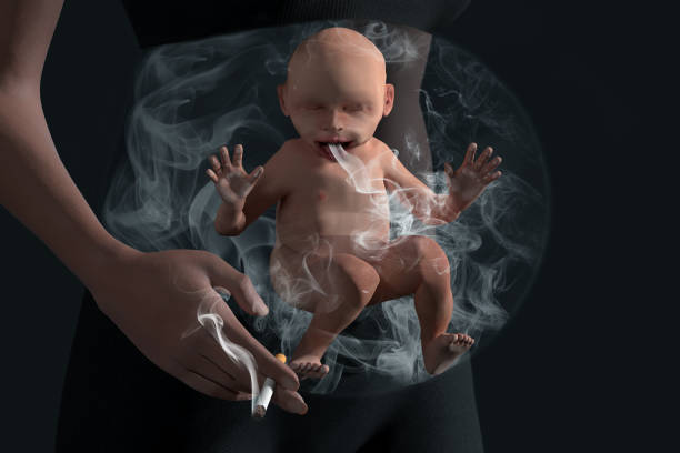 smoking baby in baby bump. unborn baby in baby bump smokes passively - smoking issues fotos imagens e fotografias de stock