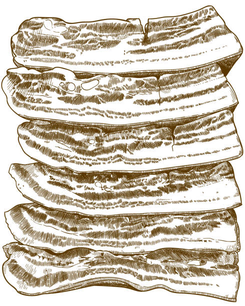 Vector antique engraving drawing illustration of bacon slices isolated on white background