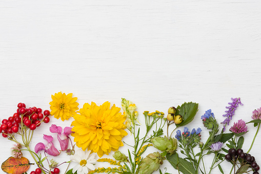 Top view on colorful garden and wild flowers on white wooden background.