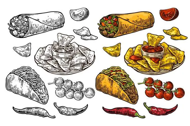 Vector illustration of Mexican traditional food set burrito, tacos, chili, tomato, nachos. Engraving