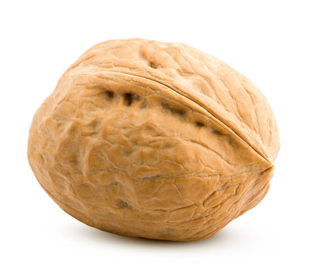 istock walnut, nut, isolated on white background, clipping path, full depth of field 1136679047