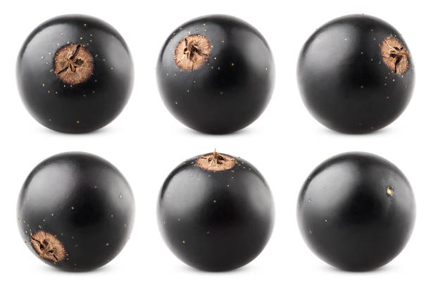 istock Black currant isolated on white background, clipping path, full depth of field 1136679066