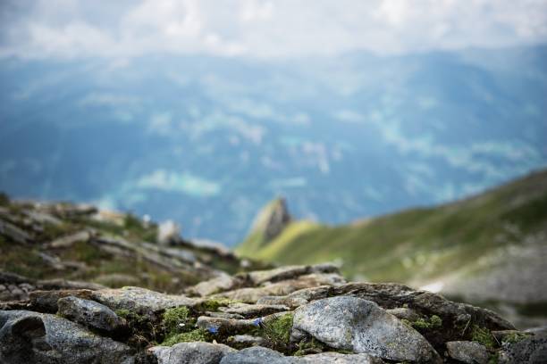 istock Half Dome Rock Landscape Meadow in Austria 1136680471
