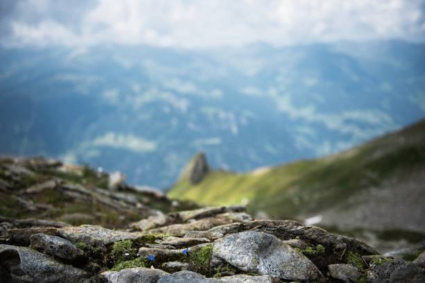 istock Half Dome Rock Landscape Meadow in Austria 1136680548