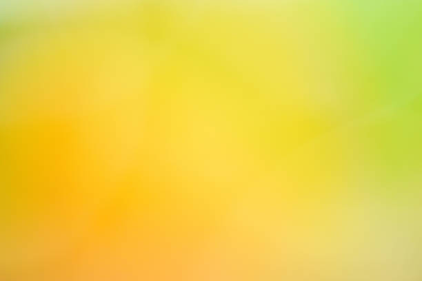 istock abstract yellow and green from nature blur texture background 1136689410