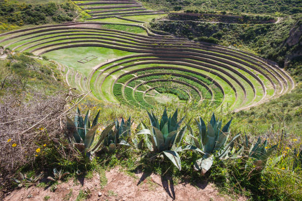 istock Archeological Inca complex of Moray, near Cusco, Peru 1136691261
