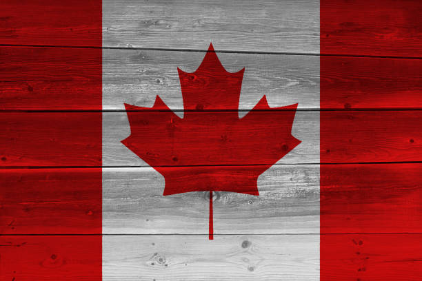 istock Canada flag painted on old wood plank 1136691497