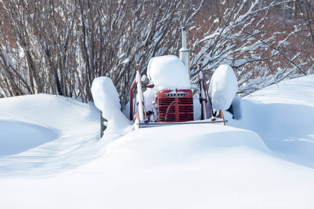 Erskine, USA - March 10, 2019: A vintage 1940 Farmall H tractor with  a loader and bucket is covered and surrounded with fresh snow after a Minnesota blizzard.